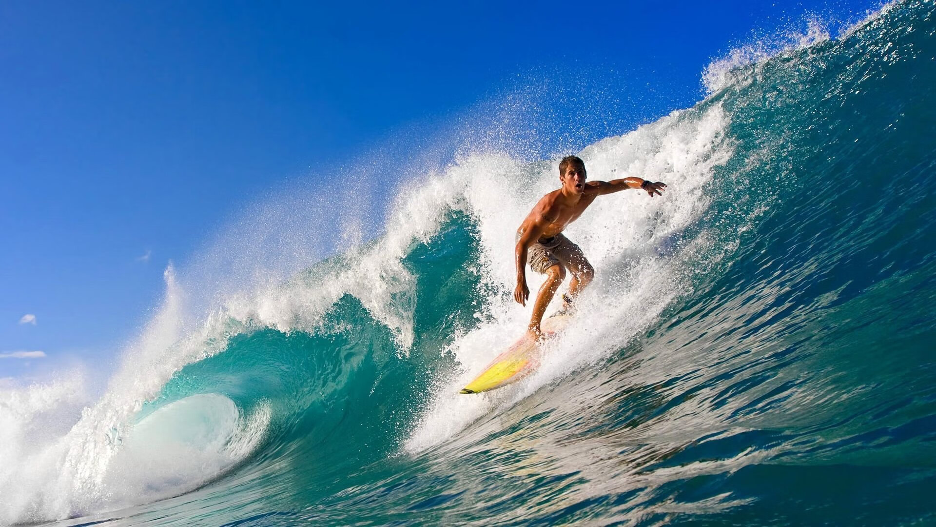 荷兰蛙泳节奏控制极具水准，荷兰游泳奥运冠军